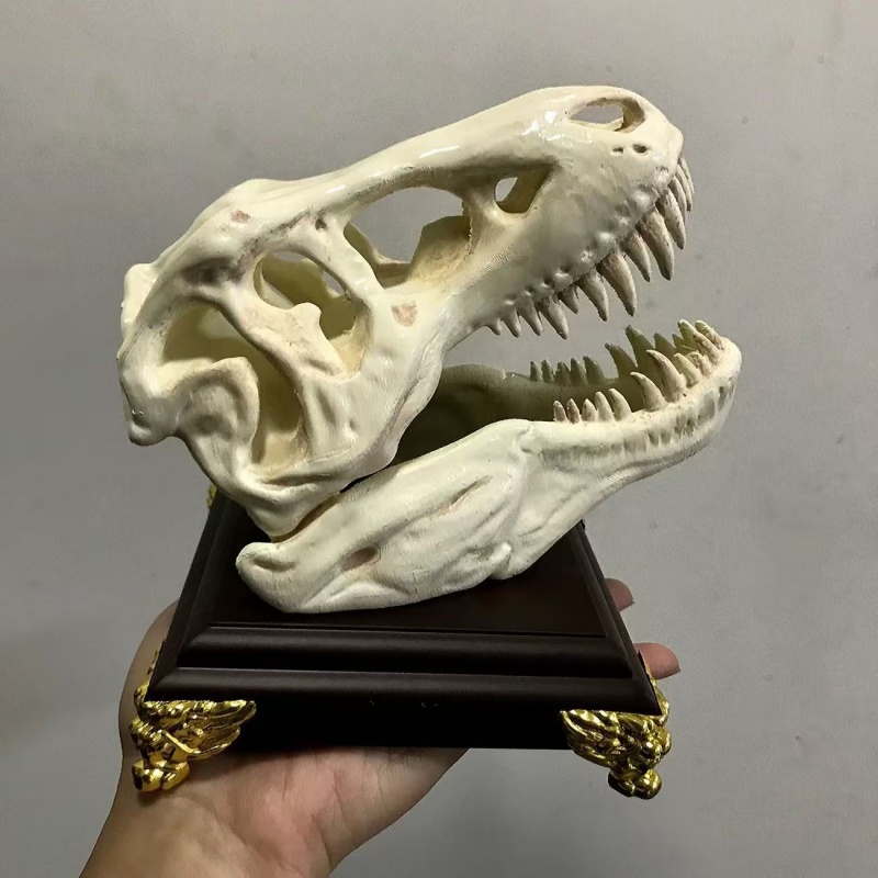 3D Printing Enthusiast - Model czaszki Tyrannosaurus Rex drukowany w