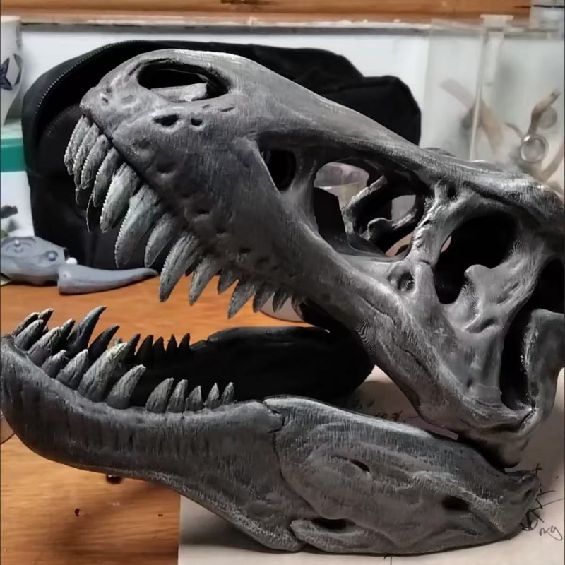 Model czaszki Tyrannosaurus Re – 3D Printing Enthusiast recenzja i cena