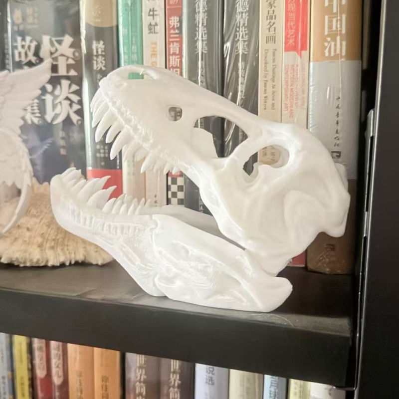 Model czaszki Tyrannosaurus Re – 3D Printing Enthusiast recenzja i cena