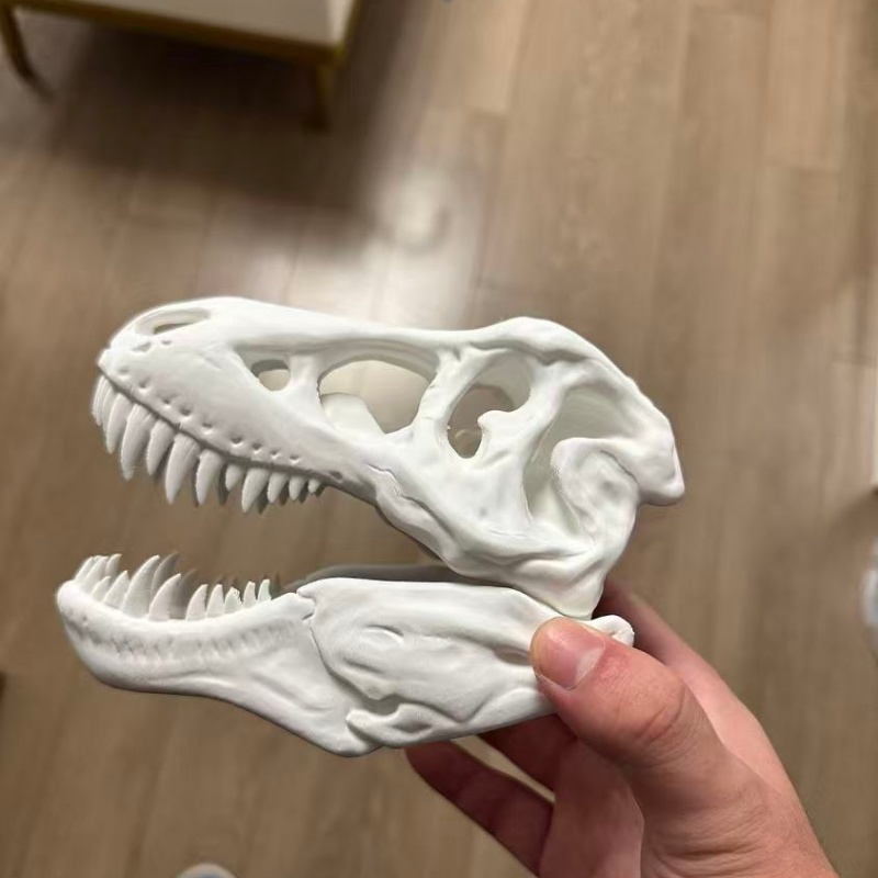 Model czaszki Tyrannosaurus Re – 3D Printing Enthusiast recenzja i cena